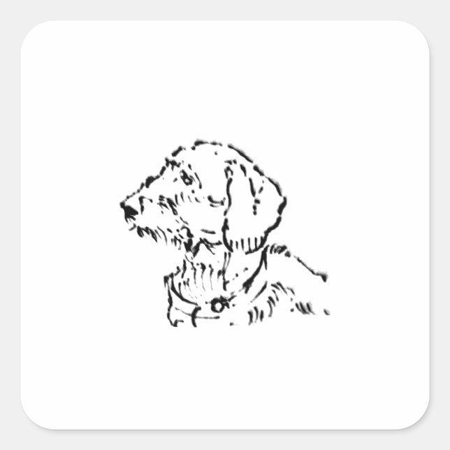 Sticker Carré Dachshund à poil dur (Devant)