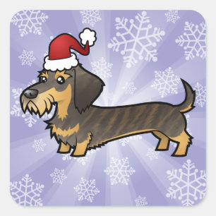 Sticker Carré Dachshund de Noël (cheveux filaires)