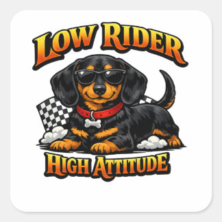Sticker Carré Dachshund drôle bas sur pattes, attitude élevée