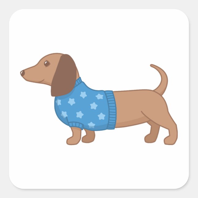 Sticker Carré Dachshund Wiener Dog Blue Star Sweat (Devant)