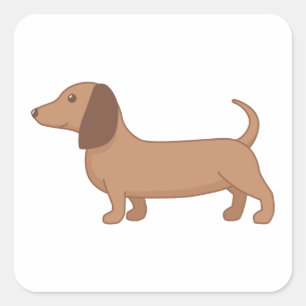 Sticker Carré Dachshund Wiener Saucisse Chien