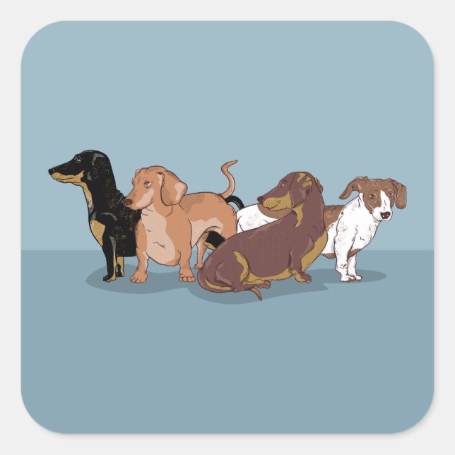 Sticker Carré Dachshunds (Devant)
