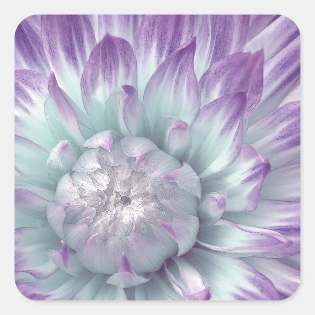 Sticker Carré Dahlia bleu et violet - Sceau d'enveloppe Mariage (Devant)