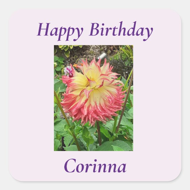 Sticker Carré Dahlia rose et jaune (Devant)