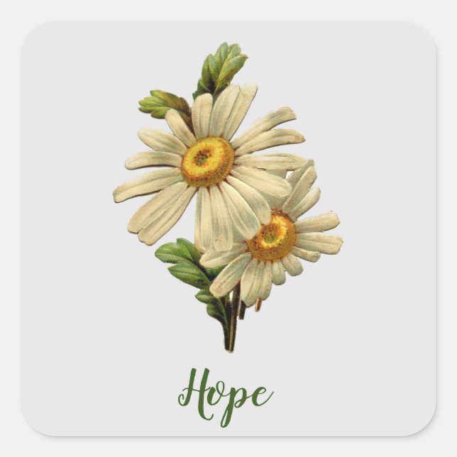 Sticker Carré Daisy Hope Inspiration (Devant)