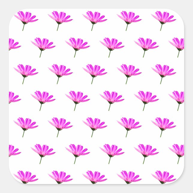 Sticker Carré Daisy rose (Devant)