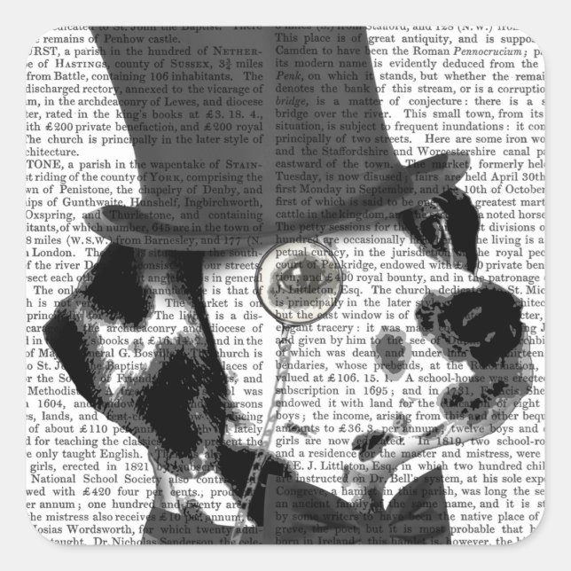 Sticker Carré Dalmatien, Hound officiel et Casquette (Devant)