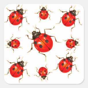 STICKER CARRÉ DAME ROUGE DÉCORATIVE BUG GIFTS