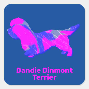 Sticker Carré Dandie Dinmont Terrier Crazy Hot rose et bleu