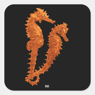 Sticker Carré Danse Des Chevaux De Mer (Orange)