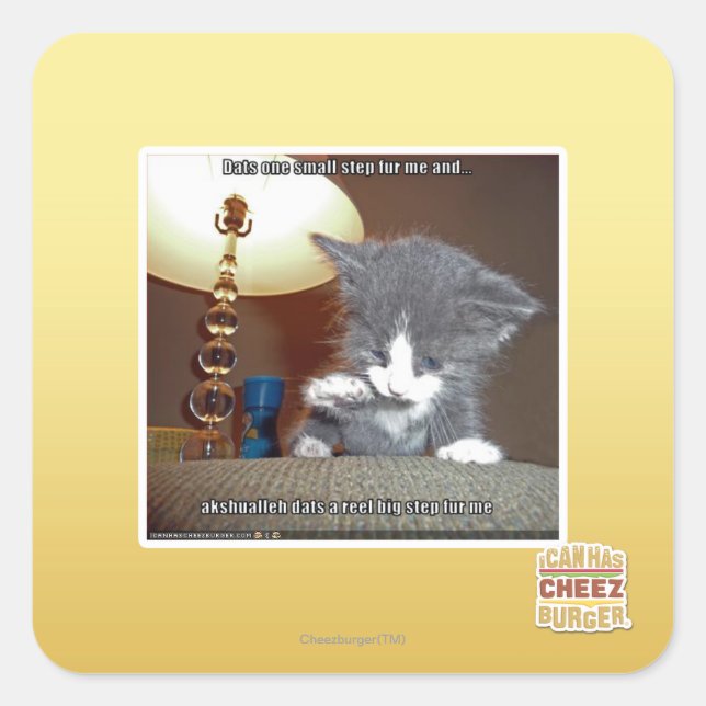 Sticker Carré Dats une petite étape me fourrure (Devant)