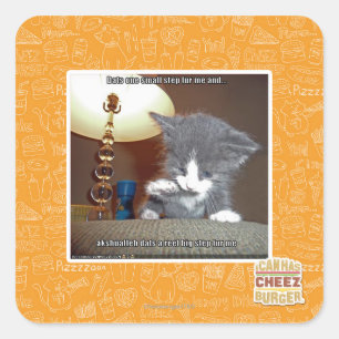 Sticker Carré Dats une petite fourrure d'étape je