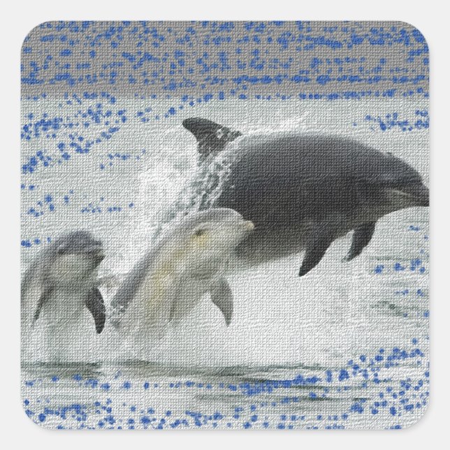 Sticker Carré Dauphins (Devant)