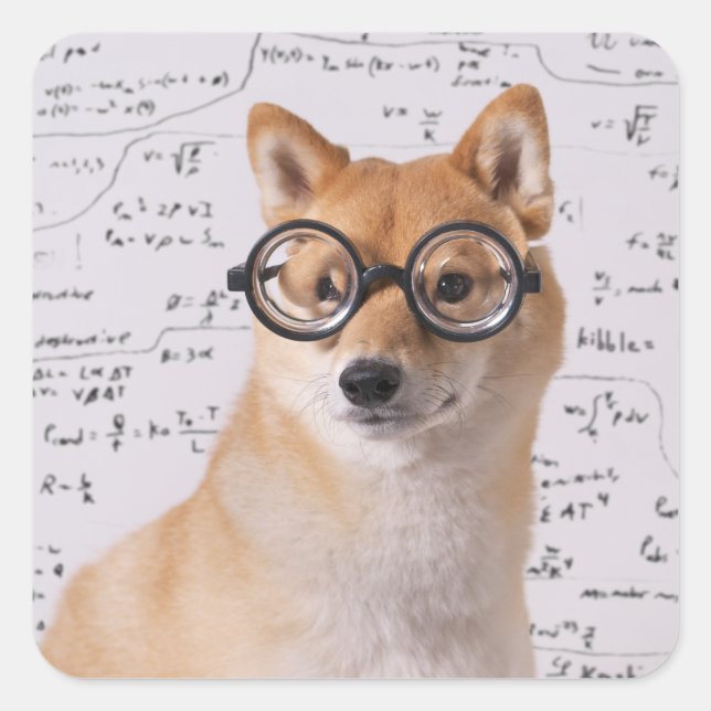 Sticker Carré de professeur Barkley (brillant) (Devant)