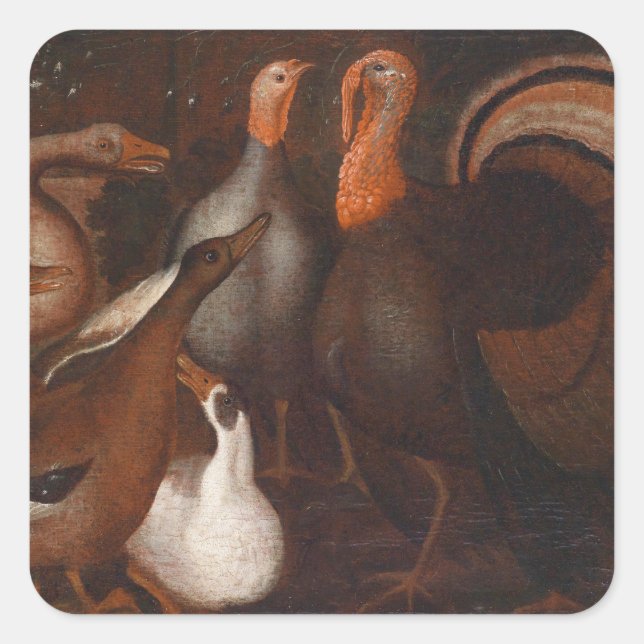 Sticker Carré de Turquie Canards PigeonThanksgivin (Devant)