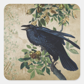 Sticker Carré Découpage du corbeau victorien vintage - royaume g