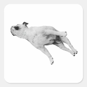 Sticker Carré Découpe de dormeur, édition de Noël