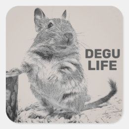 STICKER CARRÉ DEGU LIFE