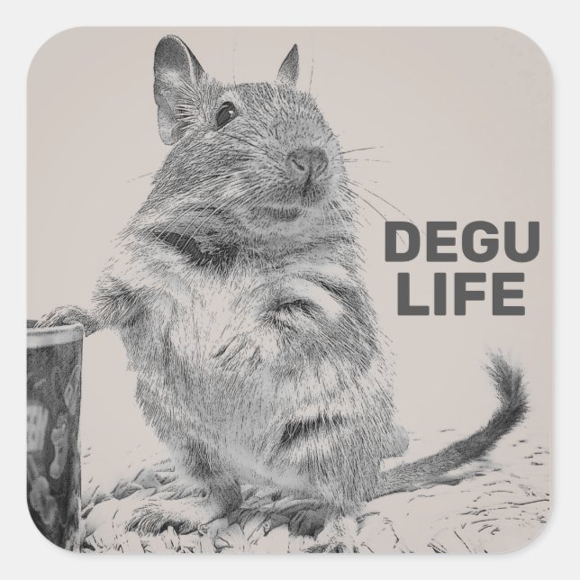 STICKER CARRÉ DEGU LIFE (Devant)