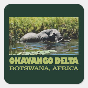 Sticker Carré Delta d'Okavango