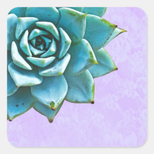 Sticker Carré Dentelle succulente de lavande d'aquarelle