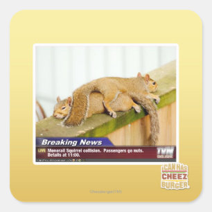 Sticker Carré Dernières nouvelles