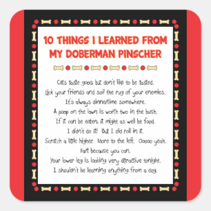 Sticker Carré Des Choses Drôle Que J'Ai Apprises De Mon Doberman