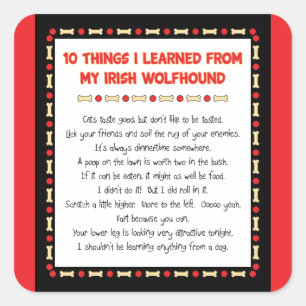 Sticker Carré Des Choses Drôle Que J'Ai Apprises De Mon Wolfhoun