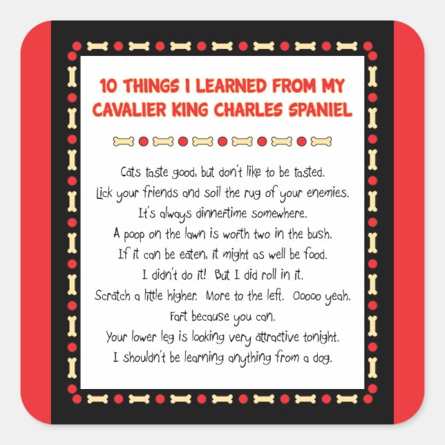 Sticker Carré Des Choses Drôle Que J'Ai Apprises Du Roi Cavalier (Devant)