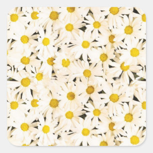 Sticker Carré Des salades blanches personnalisées Un Modèle é