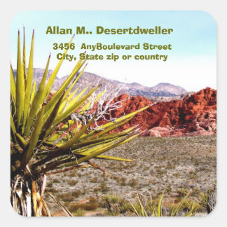 Sticker Carré Desert Scenery Cactus Adresse de retour