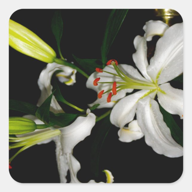 Sticker Carré Design irlandais - La collection Flower (Devant)