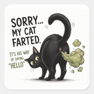 Sticker Carré Désolé Mon Chat a Pété Humour de Chat Noir Drôle