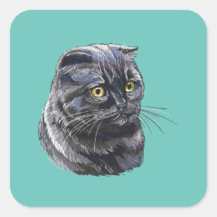 Sticker Carré Dessin à la main drôle chatte noir moelleux.