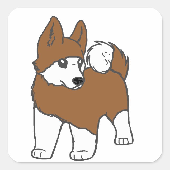 Sticker Carré dessin animé akita (Devant)