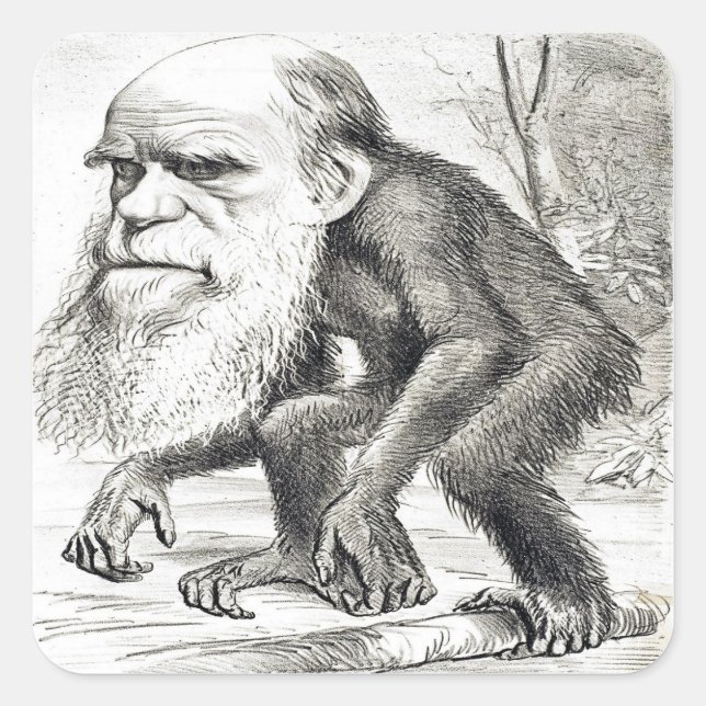 Sticker Carré Dessin De Charles Darwin 1871 (Devant)