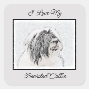 Sticker Carré Dessin de collie à oreilles - Joli art original de