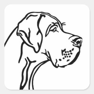 Sticker Carré Dessin de Dogue Allemand