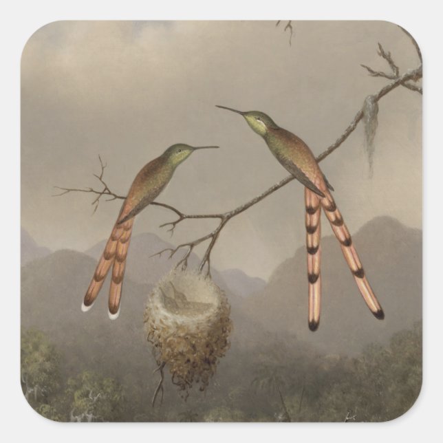 Sticker Carré Deux colibris avec leurs jeunes (Devant)