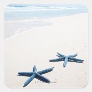 Sticker Carré Deux étoiles de mer bleues au bord de l'eau sur