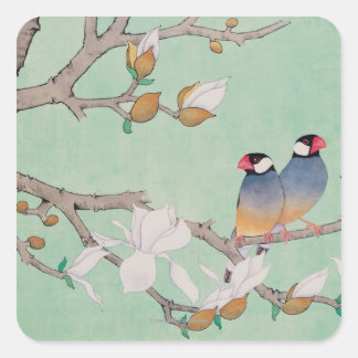 Sticker Carré Deux oiseaux dans les Branches