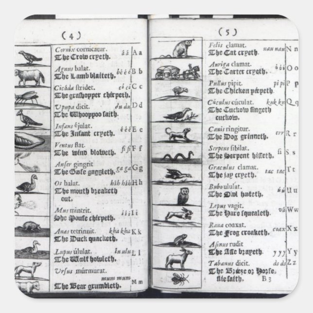 Sticker Carré Deux pages de 'Orbis Sensualium Pictus' (Devant)