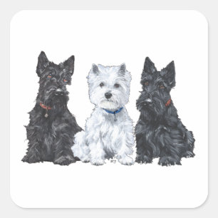 Sticker Carré Deux Scotties et un Westie
