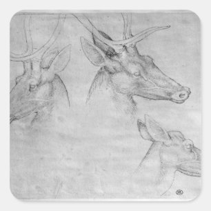 Sticker Carré Deux têtes de cerfs, une tête d'un doe