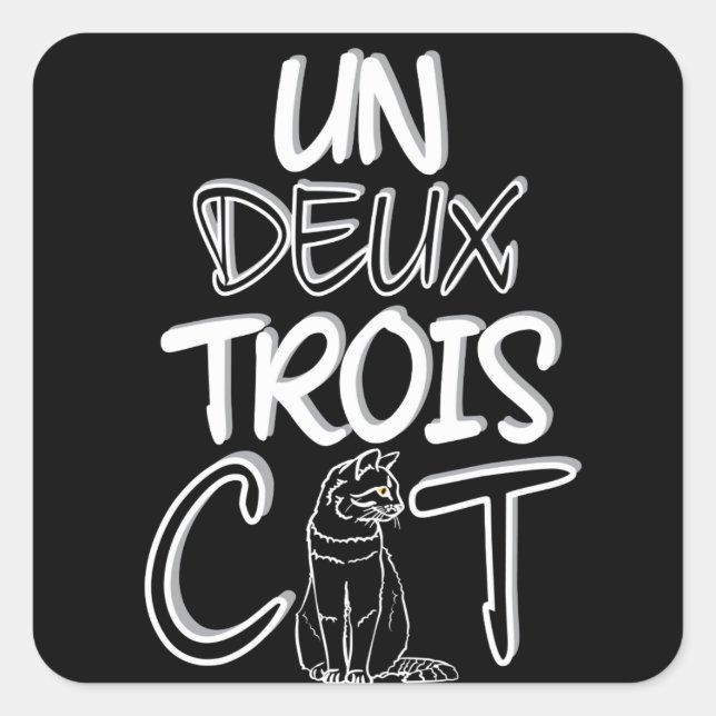 Sticker Carré Deux Trois Cat Funny French (Devant)