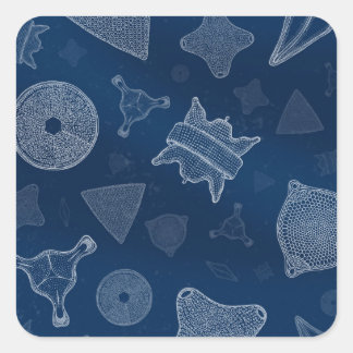 Sticker Carré Diatomées - microscopique vie marine