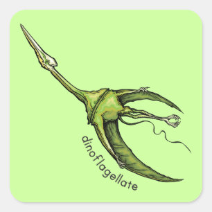 Sticker Carré Dinoflagellate