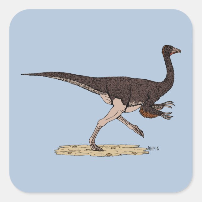 Sticker Carré Dinosaure ornithomimus crétacé (Devant)