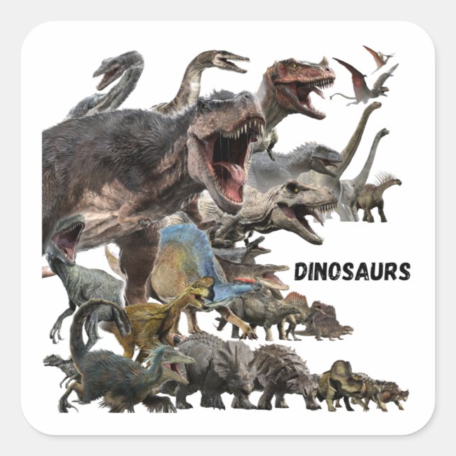 Sticker Carré Dinosaures (Devant)