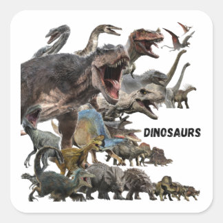 Sticker Carré Dinosaures